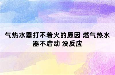 气热水器打不着火的原因 燃气热水器不启动 没反应